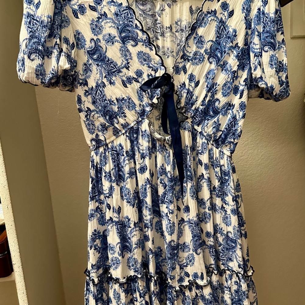 Francesca's Collections Blue and White Floral Midi Dress